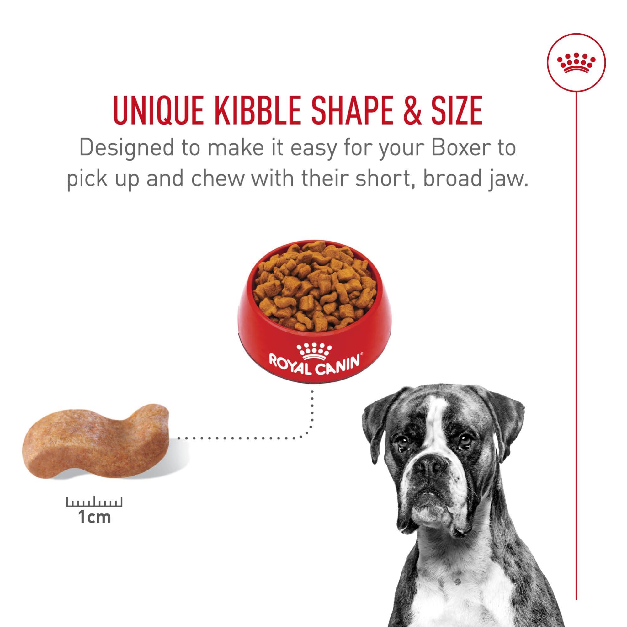 Royal Canin Boxer Adult, complejo antioxidante para salud celular.