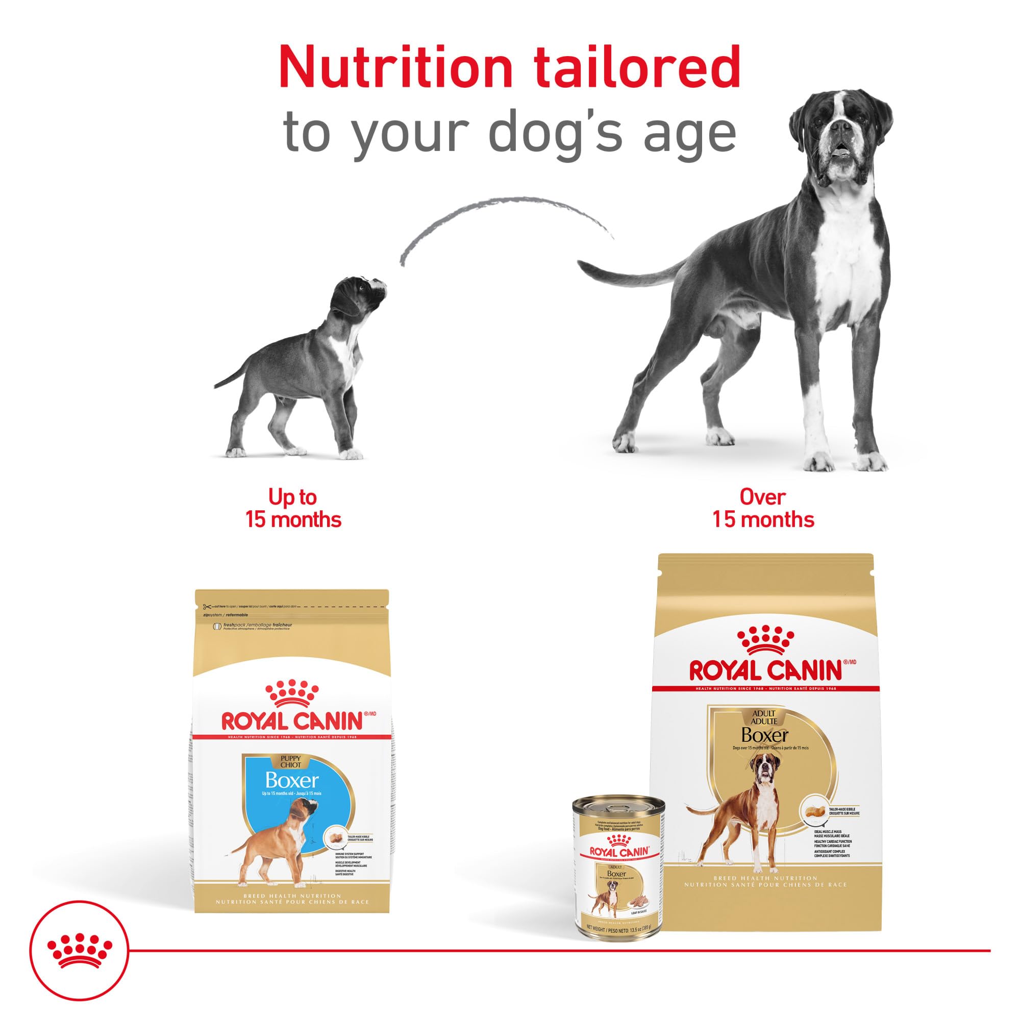 Royal Canin Boxer Adult, paquete de 12 latas para planificar la alimentación