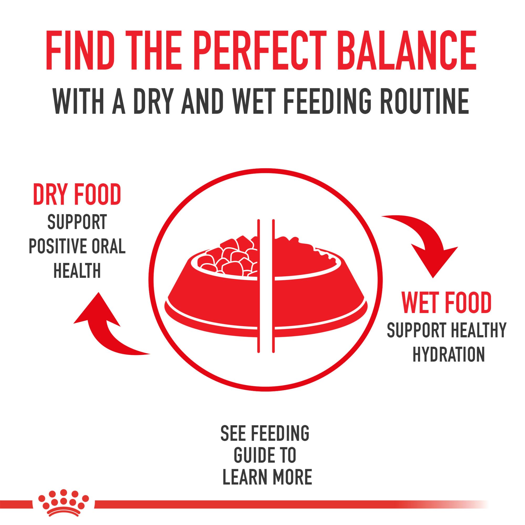 Royal Canin Boxer Adult, porción en plato que apoya una comida rápida y sabrosa