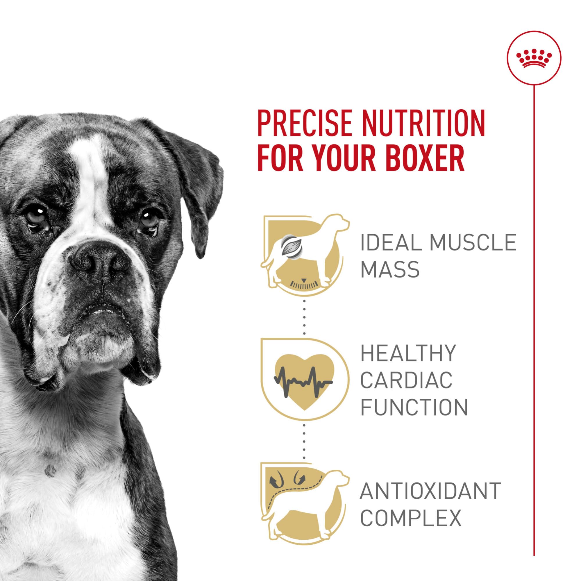 Royal Canin Boxer Adult, taurina EPA DHA para salud cardíaca.