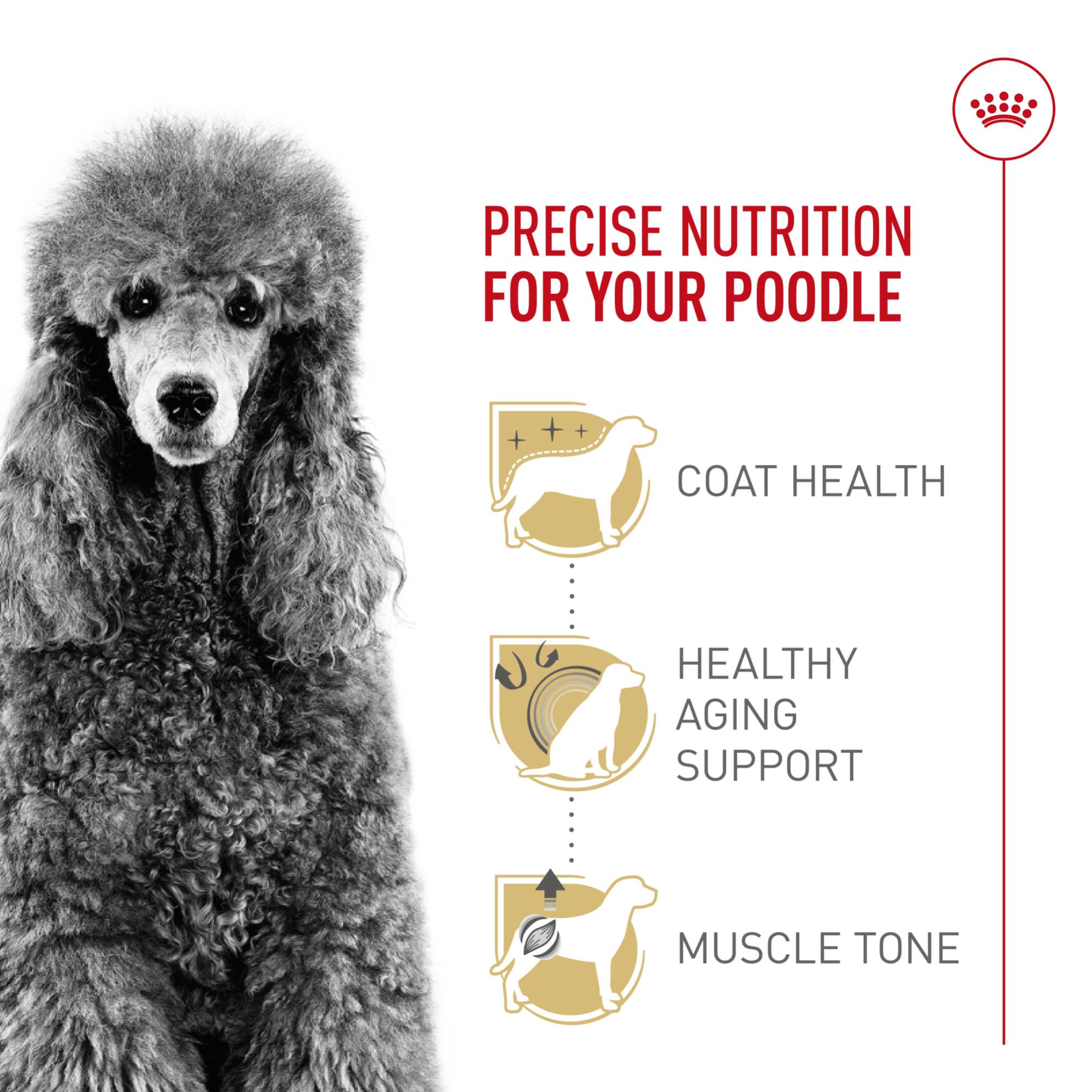 Royal Canin Poodle Adult, proteína para mantener músculos sanos.