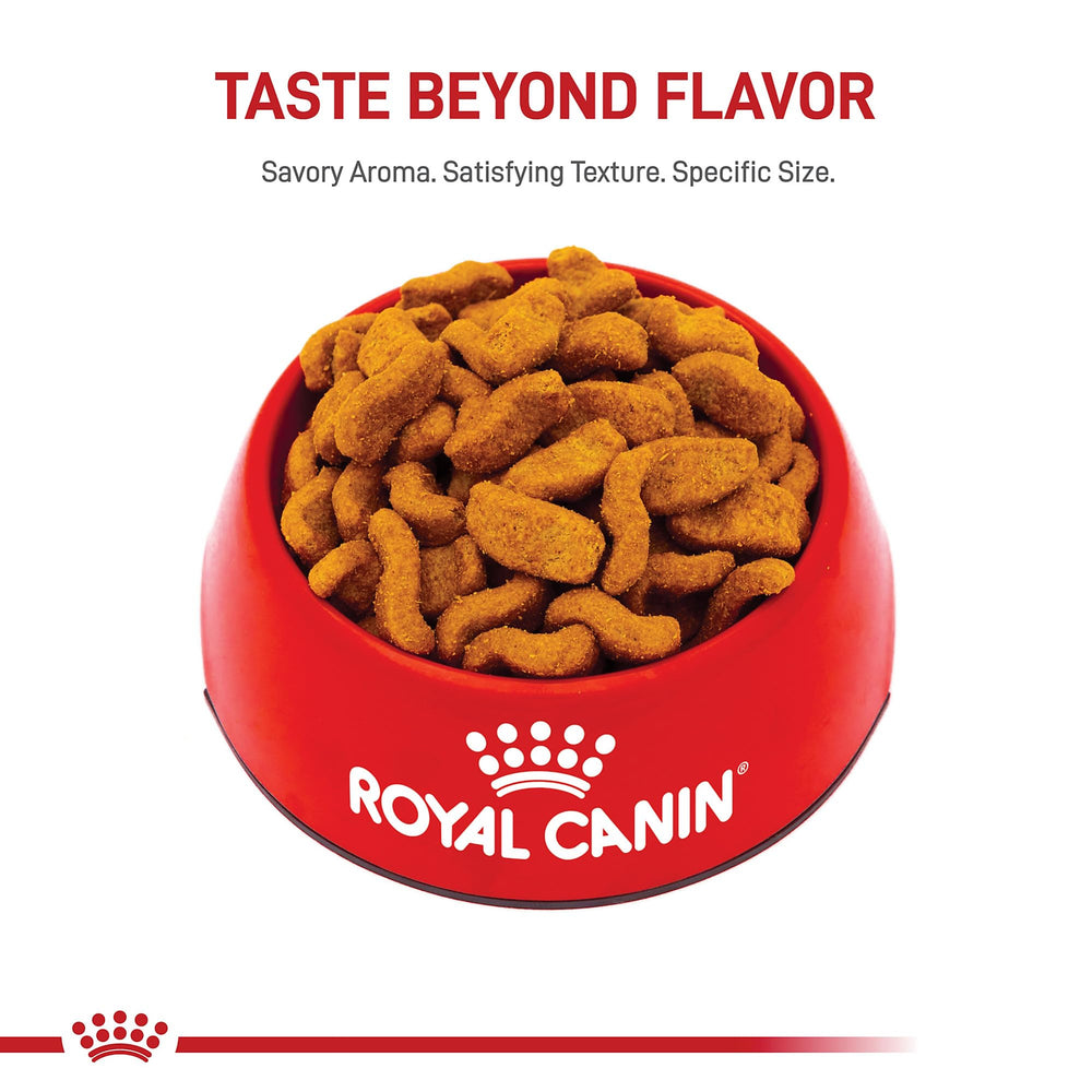 Royal Canin Bulldog Adult: soporte óseo y articular para Bulldog de complexión media.