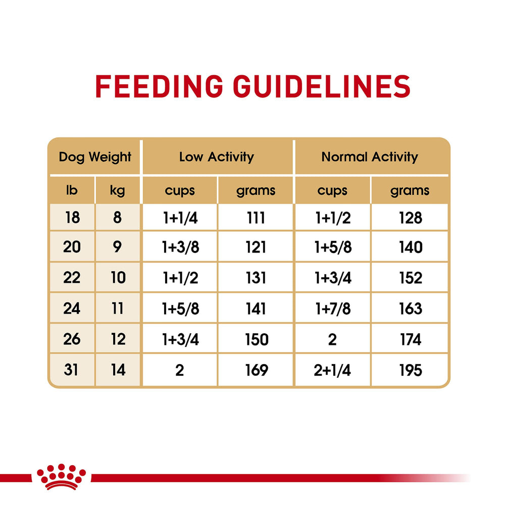 Royal Canin Bulldog Francés: presentación en bolsa de 2,7 kg para uso diario