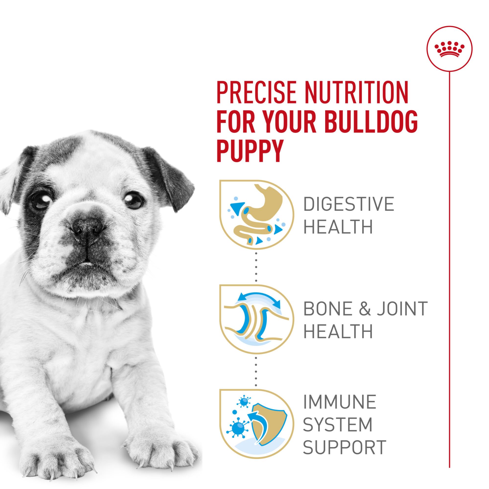 ROYAL CANIN Bulldog Puppy digestivo con prebióticos y proteínas de calidad.