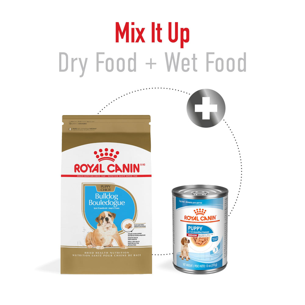ROYAL CANIN Bulldog Puppy croqueta adaptada al maxilar medio.