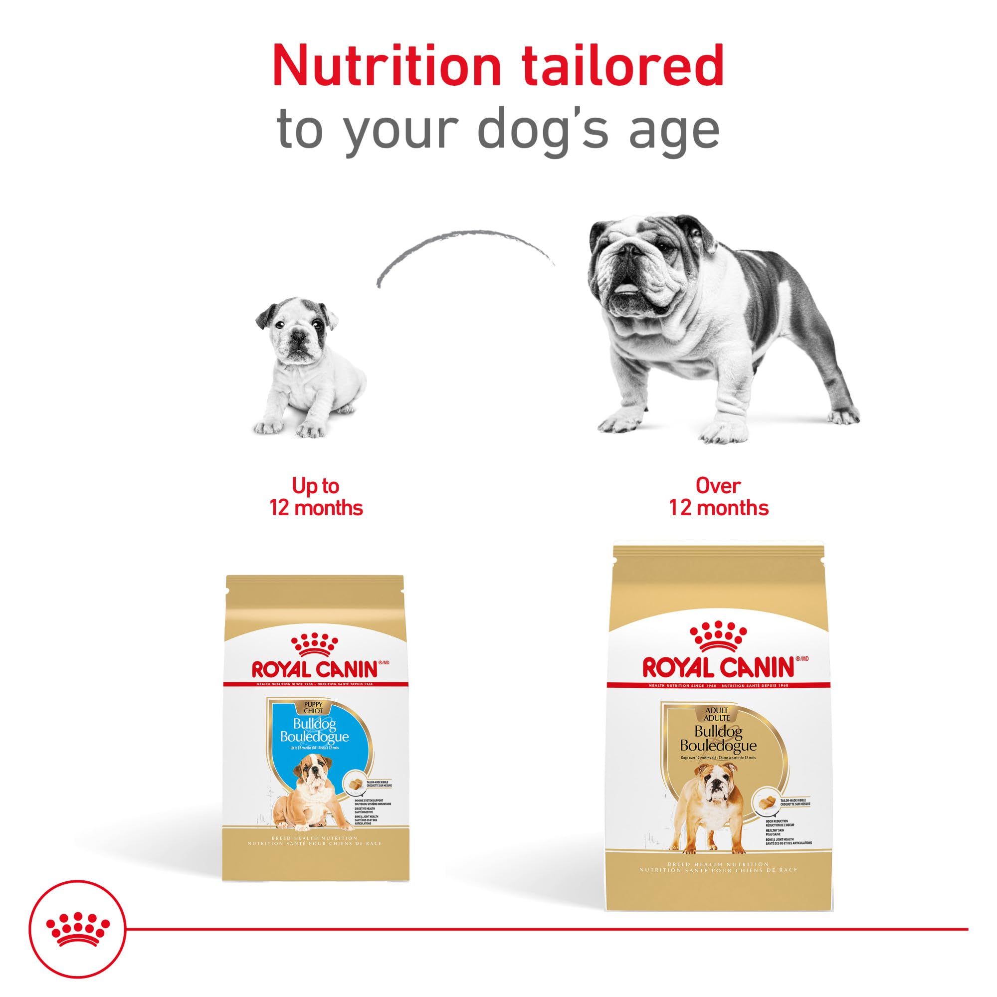 ROYAL CANIN Bulldog Puppy envase de 6 libras para cachorros en crecimiento.