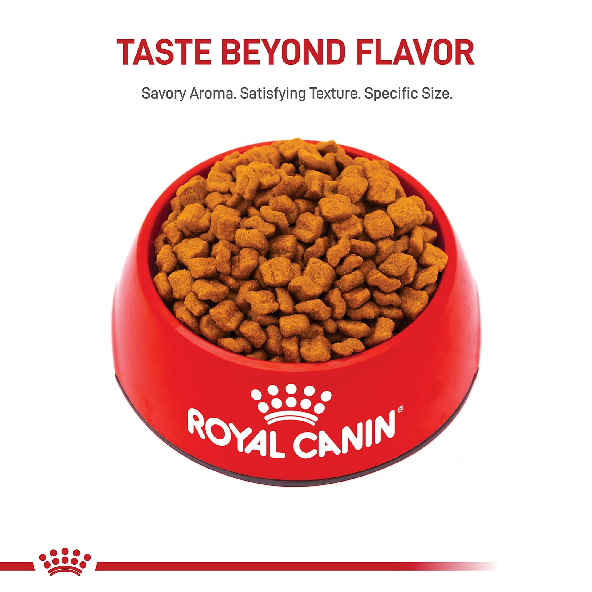 ROYAL CANIN Bulldog Puppy transición suave a comida de adulto a los 15 meses.