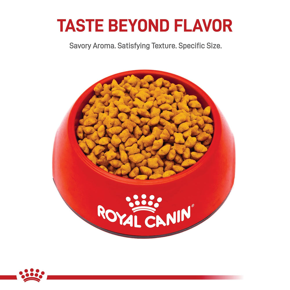 Royal Canin calcio y fosforo equilibrados para crecimiento sano.
