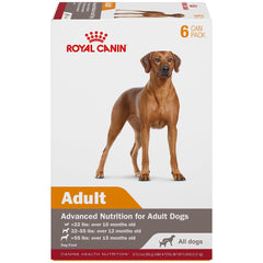 Royal Canin Adult en Gel: lata abierta muestra textura apetecible para el pelaje
