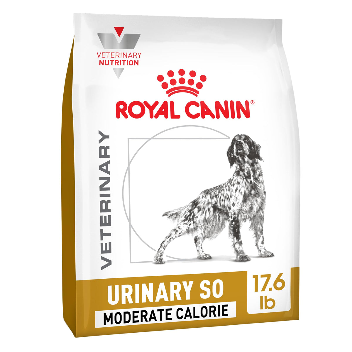 Royal Canin canino croquetas secas, bolsa visible, favorece salud urinaria.