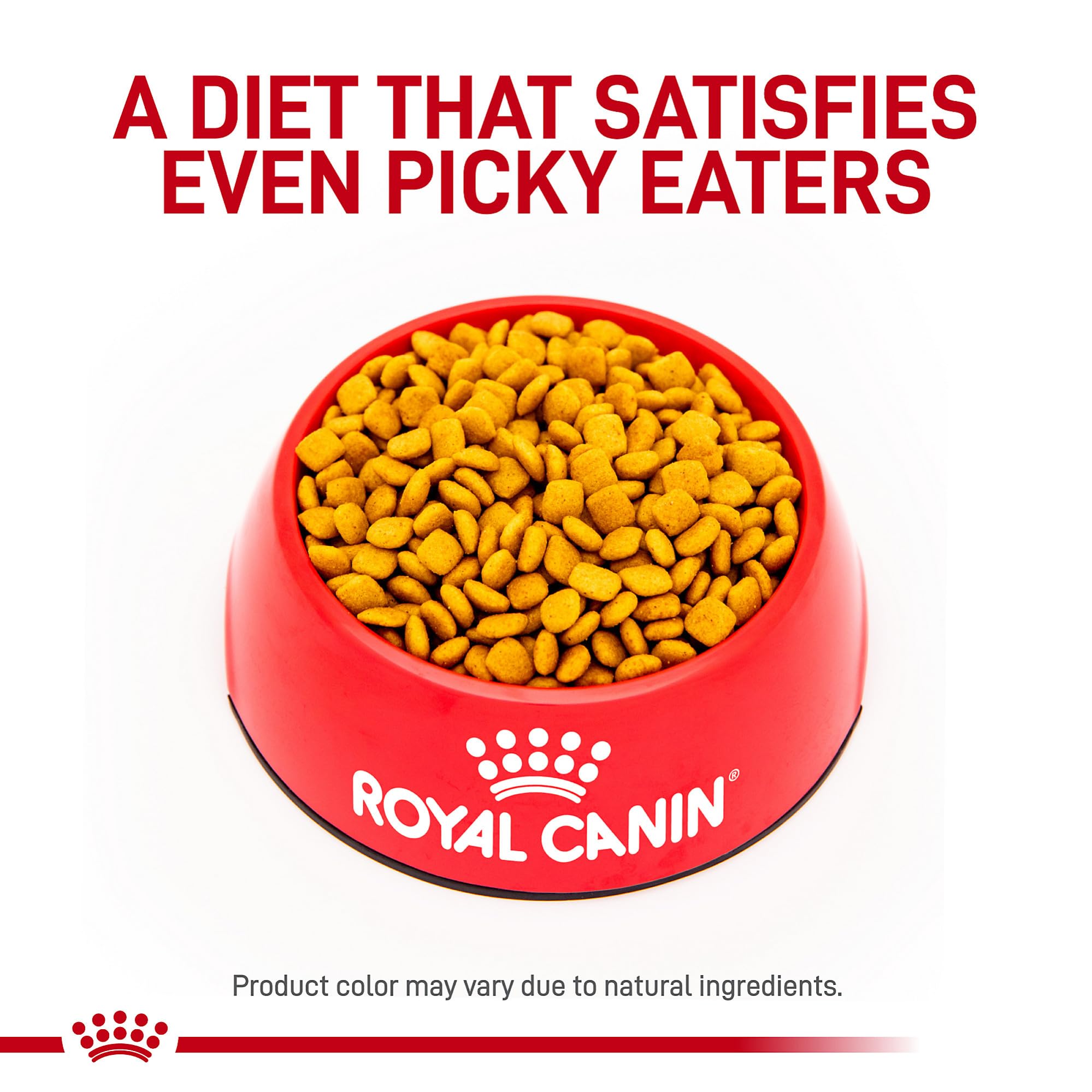 Royal Canin canino croquetas secas, textura uniforme para dieta diaria.