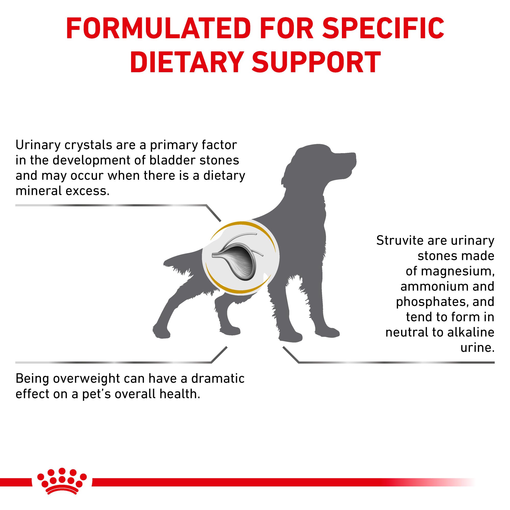 Royal Canin canino envase, etiqueta visible, dieta urinaria para adultos.