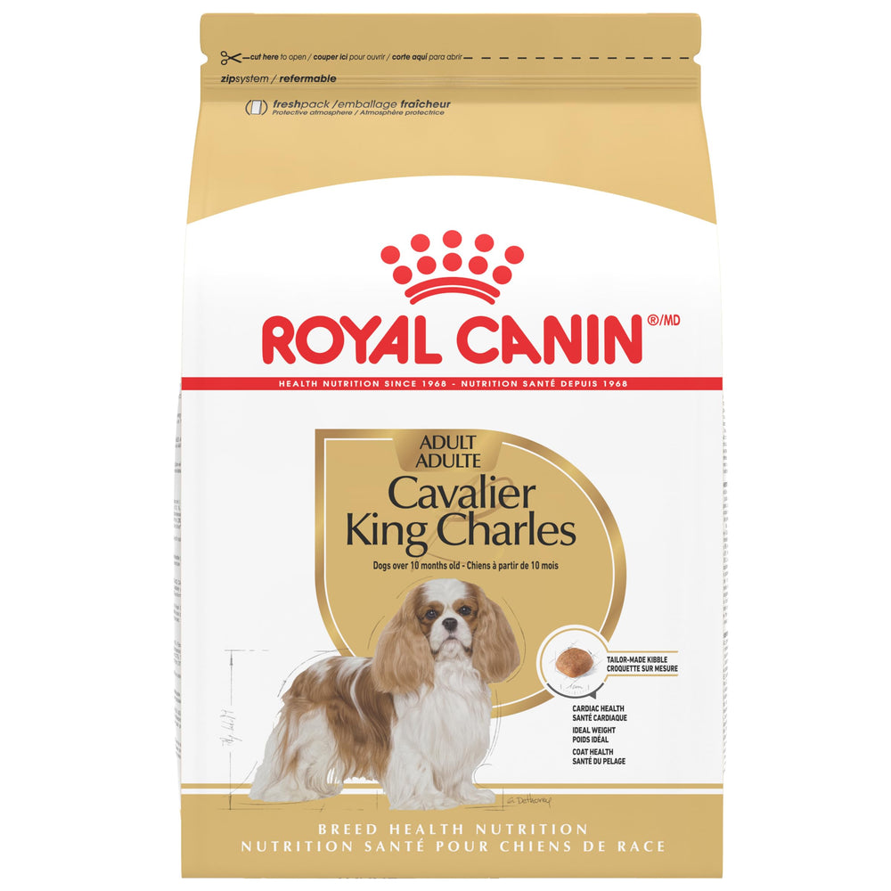 Royal Canin Cavalier King Charles Spaniel adulto croquetas especiales para razas pequeñas