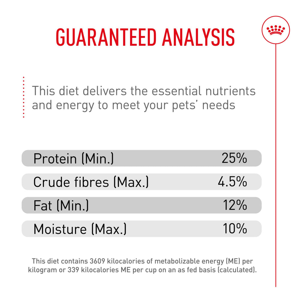 Royal Canin Cavalier King Charles Spaniel presentación de 10 libras para alimentación
