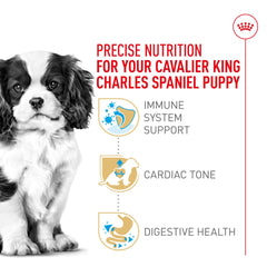 Complejo antioxidante y vitamina E para desarrollo inmunológico de Cavalier Puppy