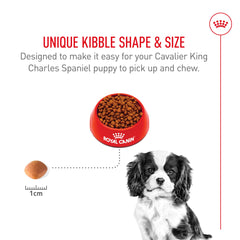 Taurina y EPA/DHA de ROYAL CANIN para la salud cardíaca de cachorros Cavalier