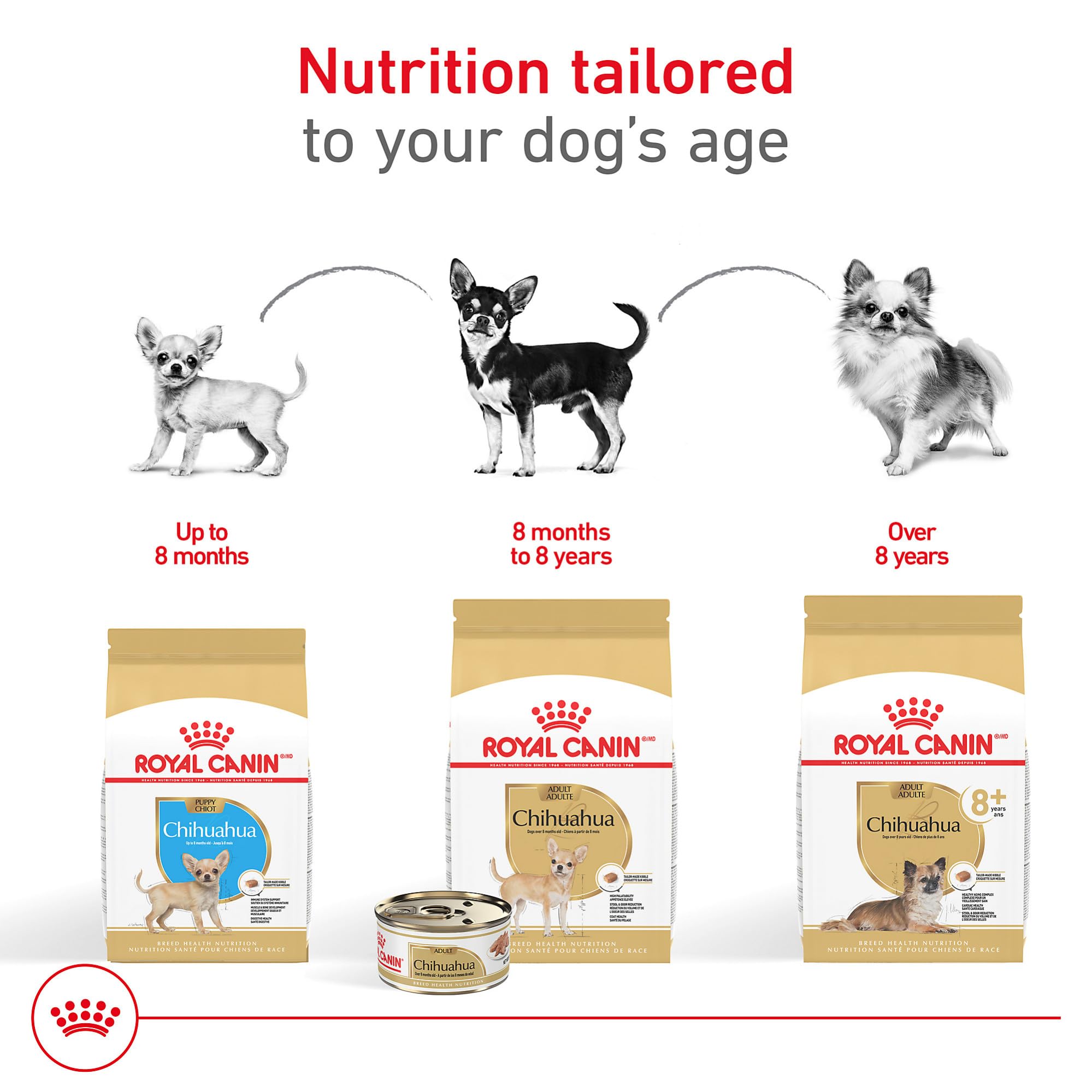 Royal Canin Chihuahua Adult 8+ favorece salud cardíaca con taurina EPA DHA