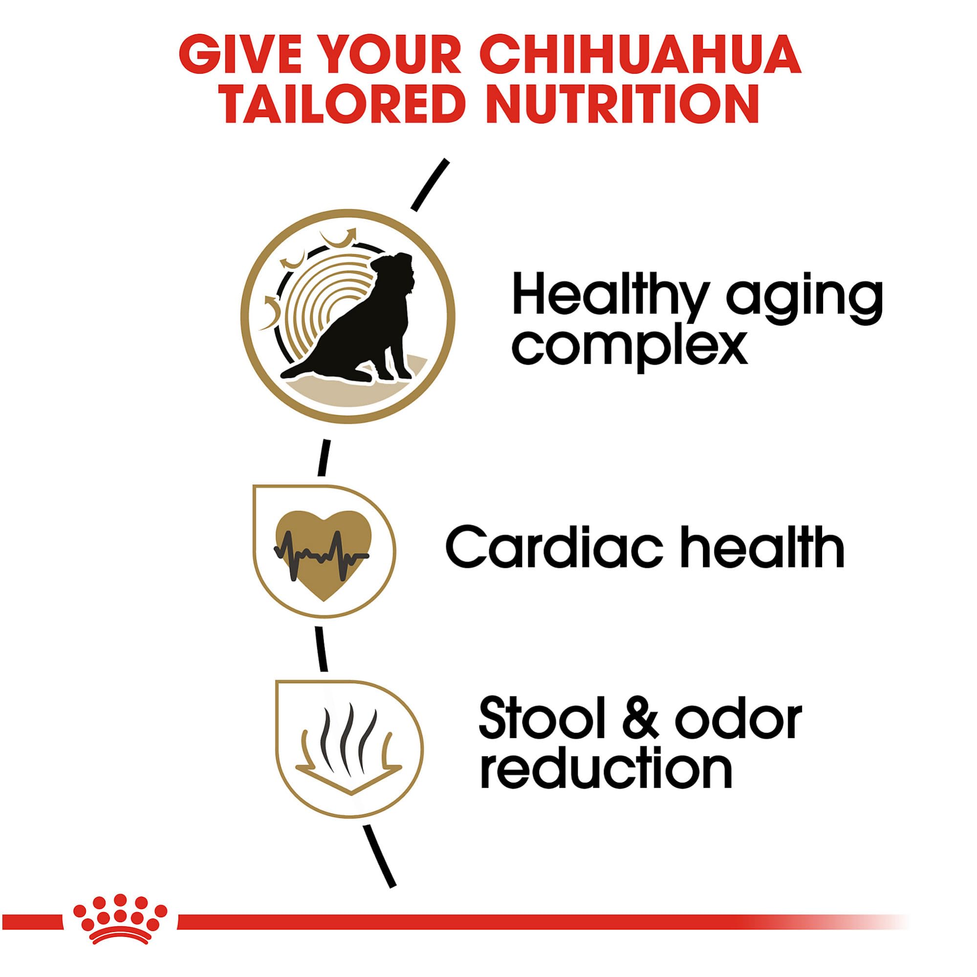 Royal Canin Chihuahua Adult 8+ croquetas rehidratables, preparación rápida para senior