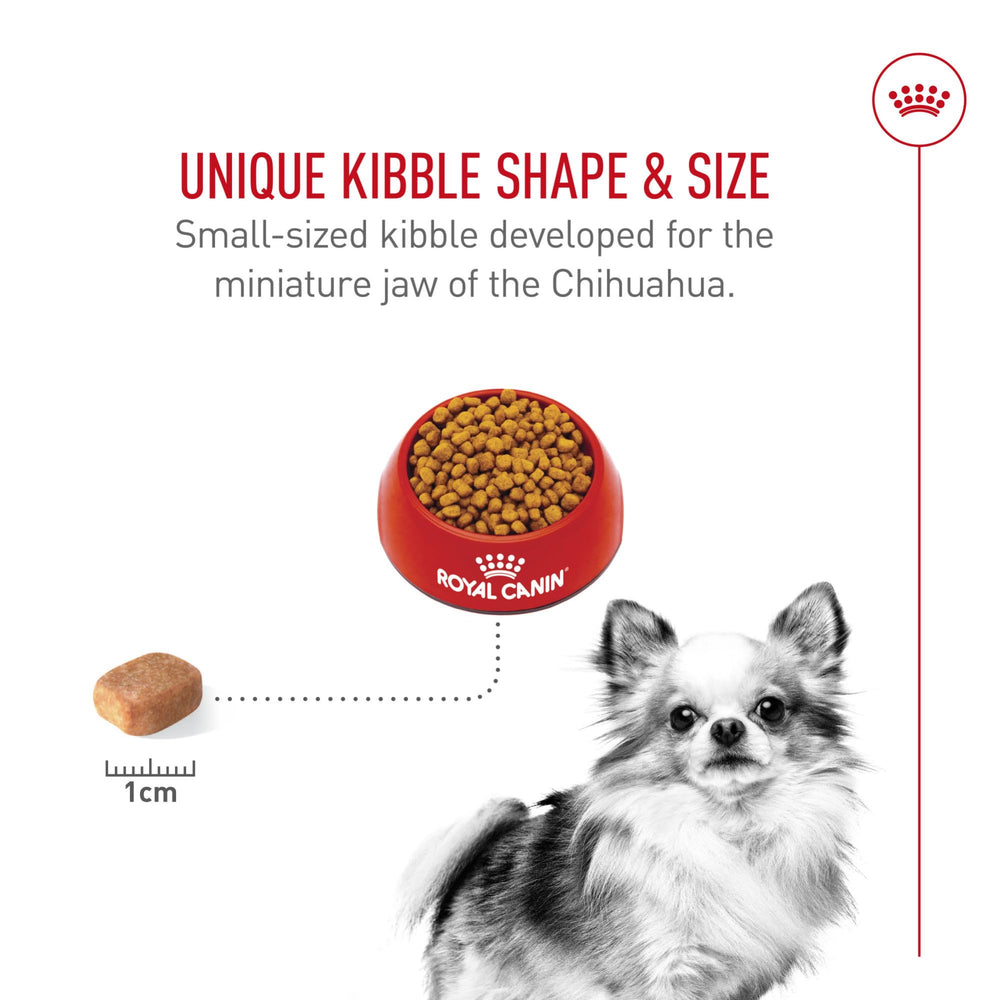 Pelaje brillante del Chihuahua con dieta Royal Canin Chihuahua Adult