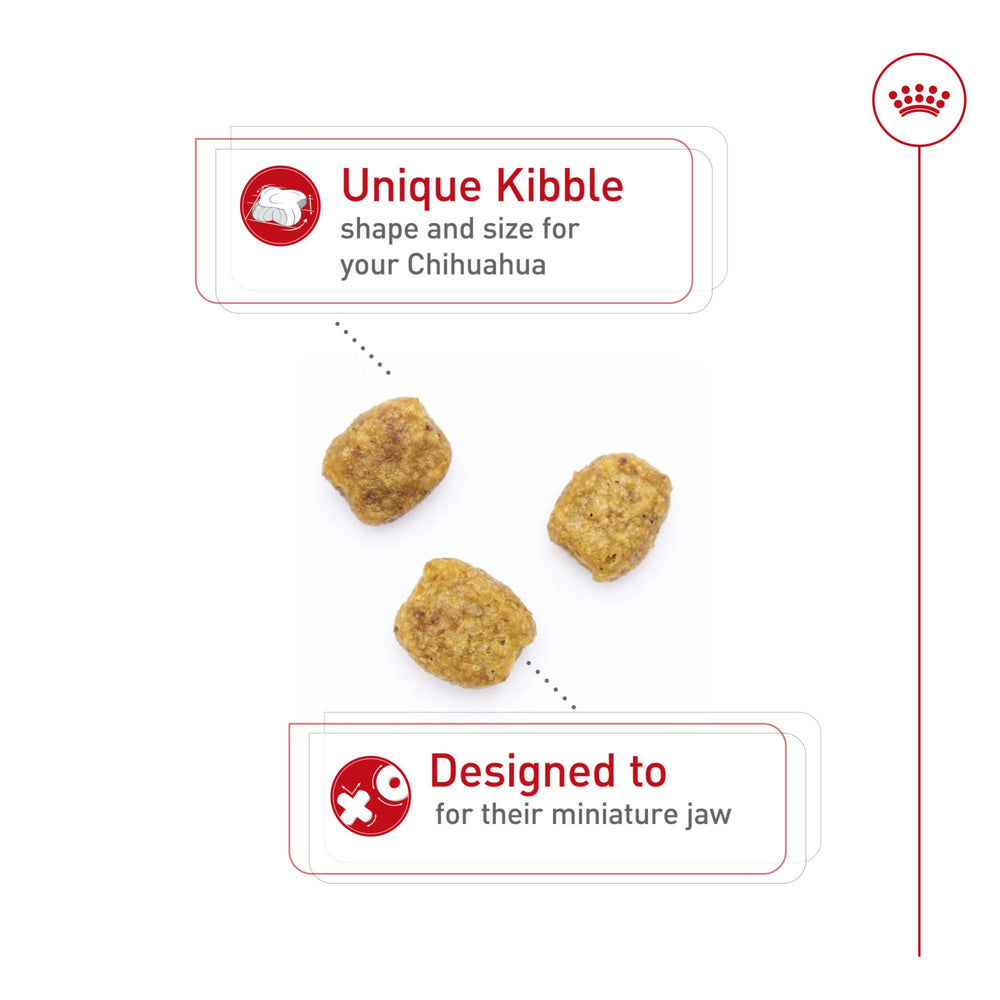 Kibble de forma especial de Royal Canin Chihuahua Adult para mordida pequeña