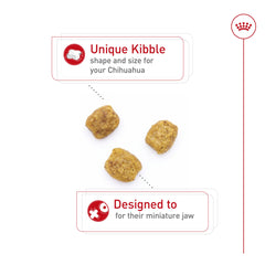 Kibble de forma especial de Royal Canin Chihuahua Adult para mordida pequeña