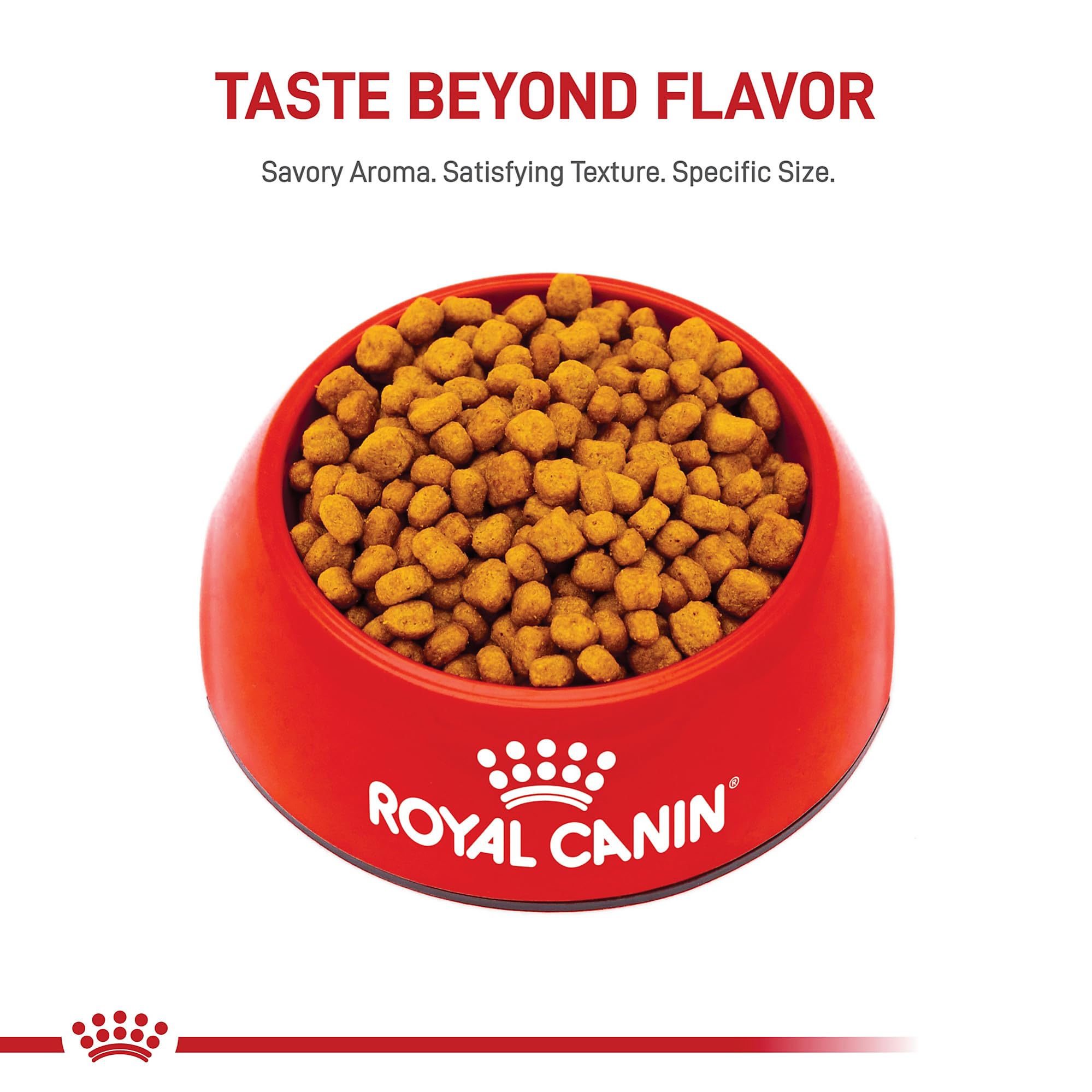 Imagen que sugiere mezcla con alimento húmedo para Royal Canin Chihuahua Adult