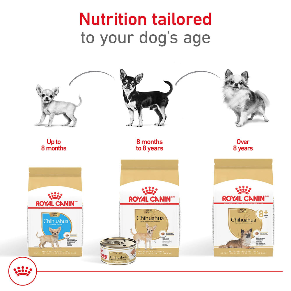 Royal Canin Chihuahua, fórmula para perros pequeños con necesidades digestivas específicas.