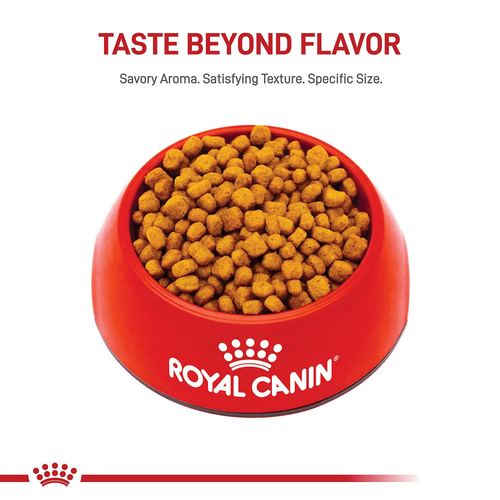 Royal Canin Chihuahua, diseño de kibble para masticación en mordida pequeña.