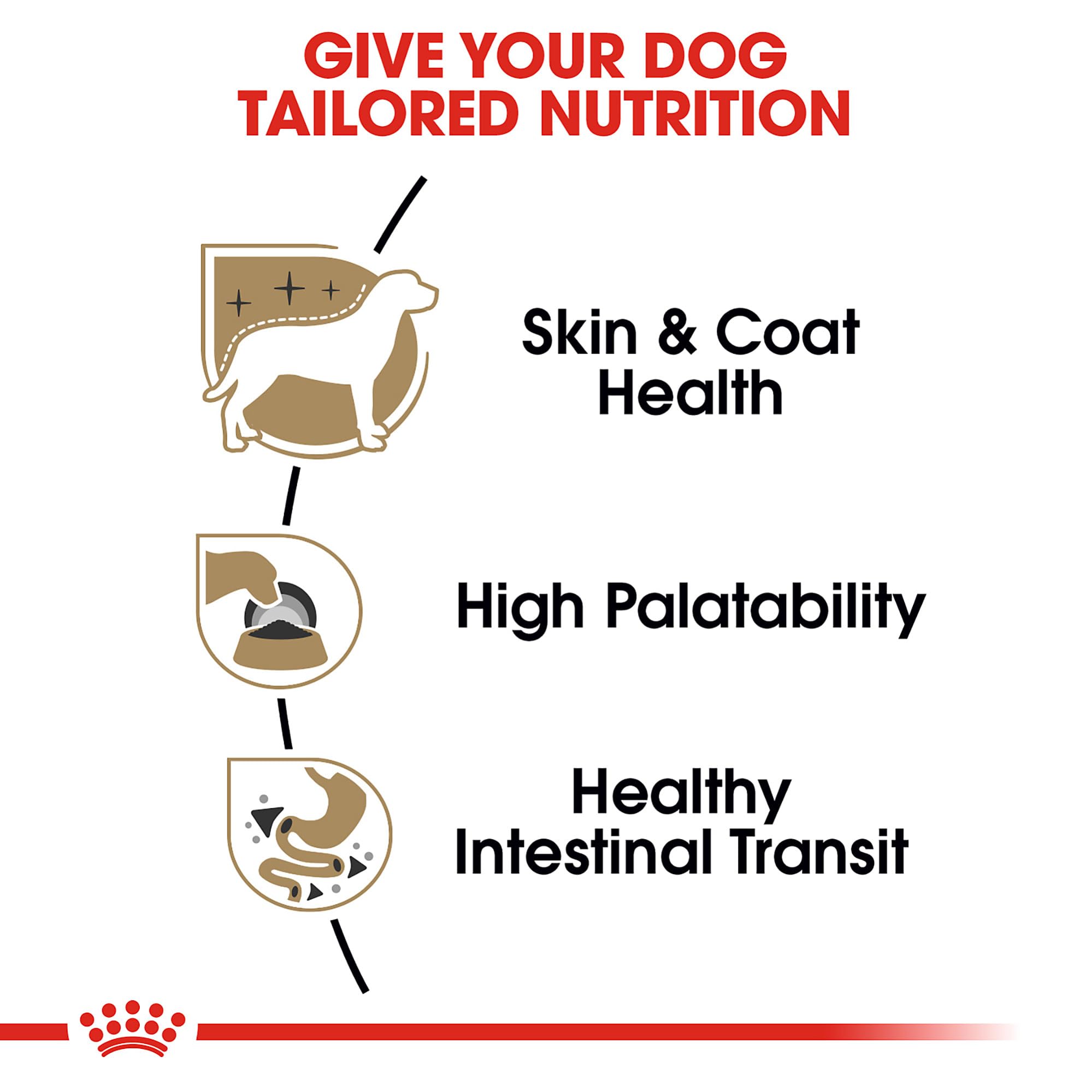 Royal Canin Chihuahua: piel y pelo saludables gracias a EPA/DHA.