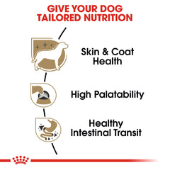 Royal Canin Chihuahua: piel y pelo saludables gracias a EPA/DHA.