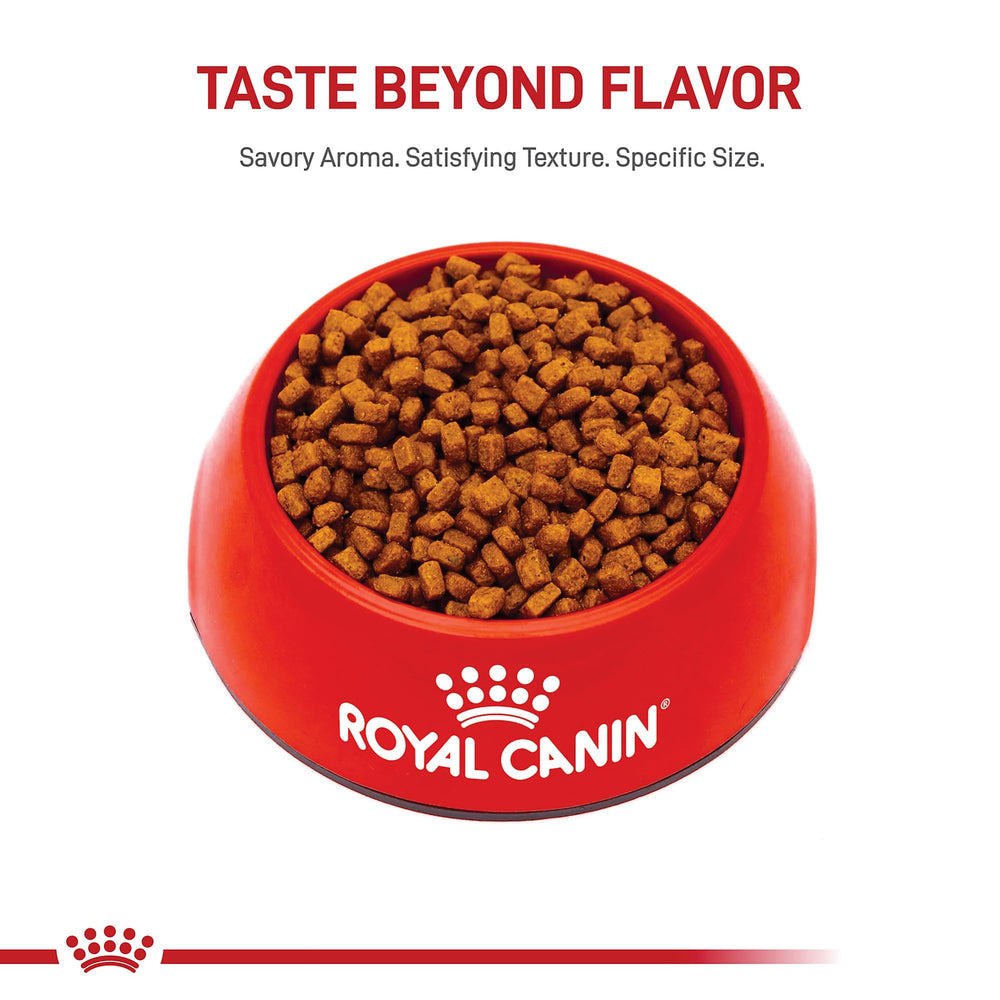 ROYAL CANIN Chihuahua Puppy, detalle de aroma intenso para comedores exigentes.