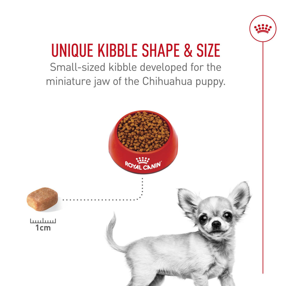 ROYAL CANIN Chihuahua Puppy, digestibilidad alta para heces estables.