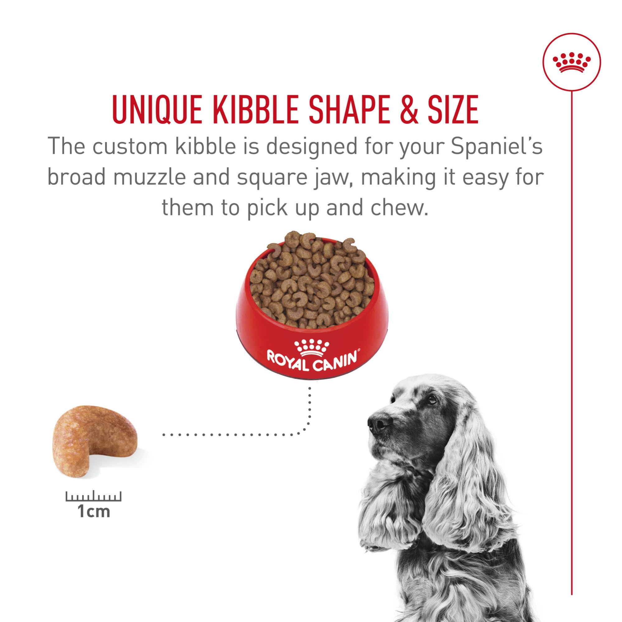 Royal Canin Cocker Spaniel Adulta, apoyo para salud cardíaca