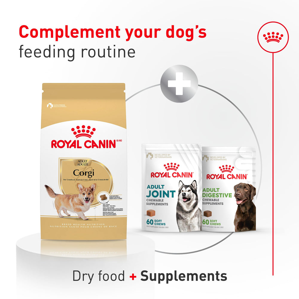 Digestión saludable gracias a fibras y prebióticos en Royal Canin Corgi Adult.