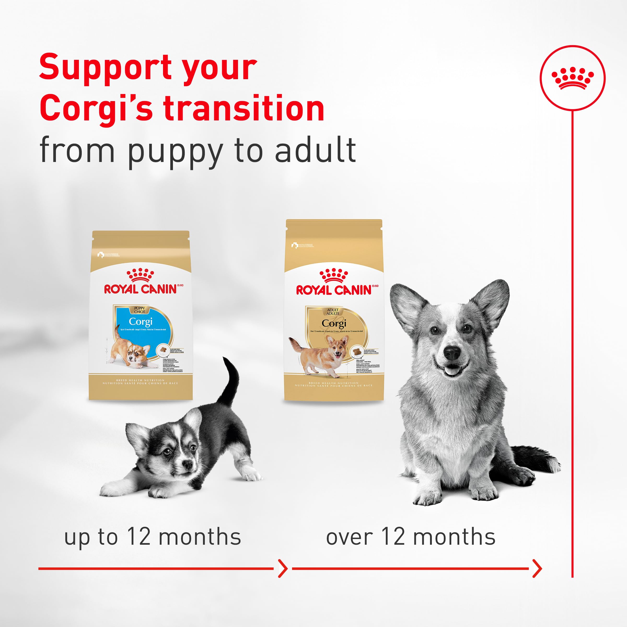 Primer plano de EPA, DHA y glucosamina en Royal Canin Corgi Adult para soporte articular.