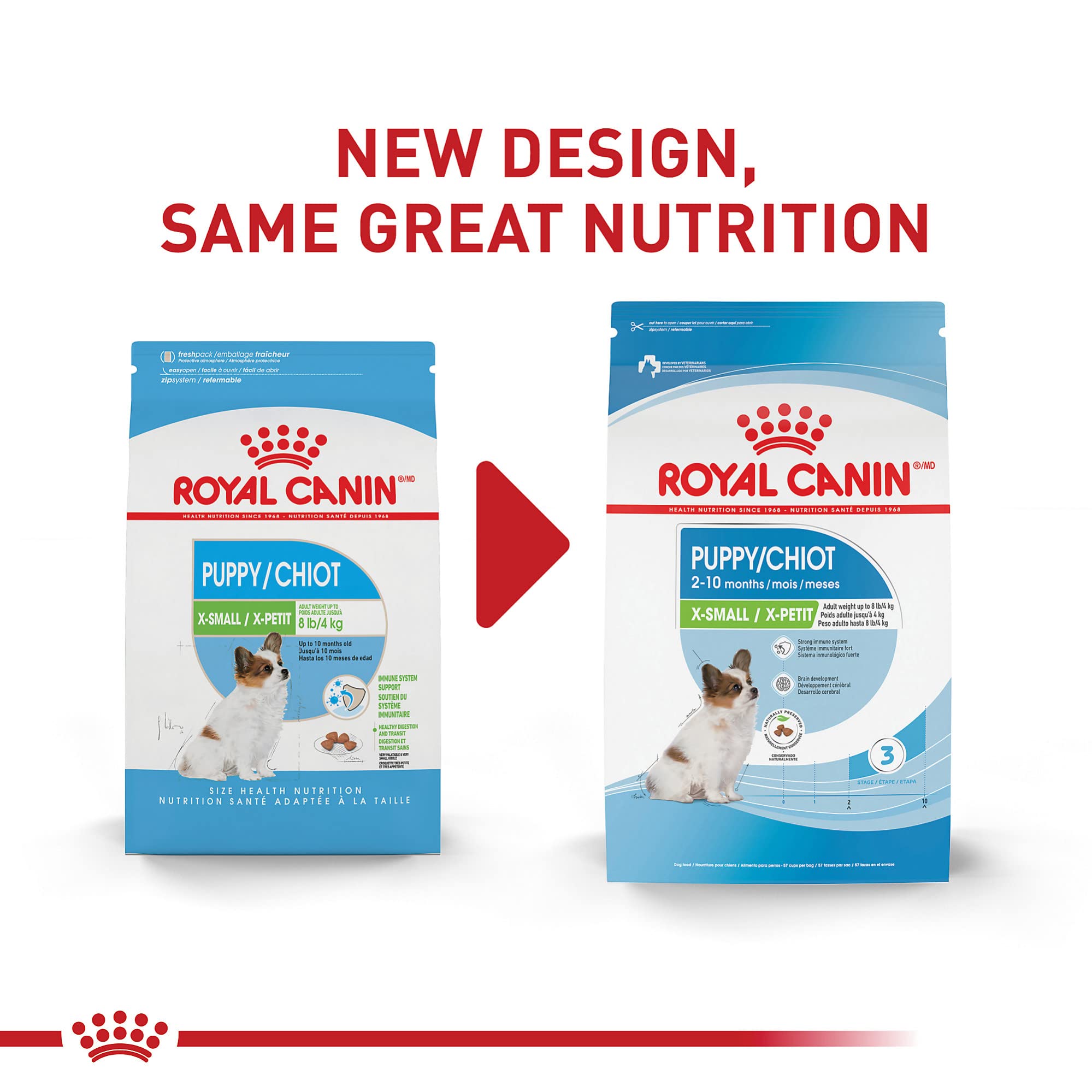Royal Canin croquetas crujientes para cachorros miniatura, fáciles de masticar para dientes pequeños.