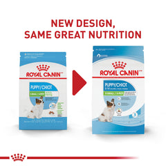 Royal Canin croquetas crujientes para cachorros miniatura, fáciles de masticar para dientes pequeños.