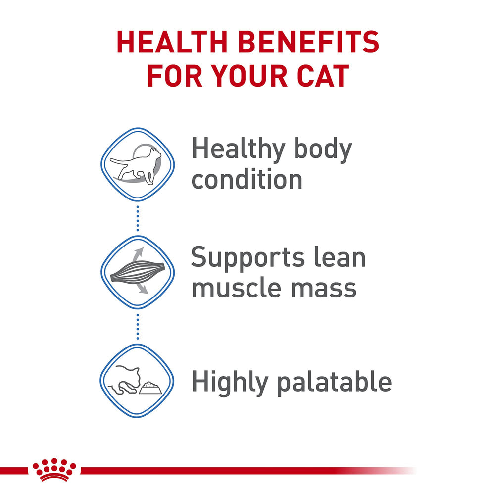Plato con trozos en salsa de Royal Canin Cuidado de Peso