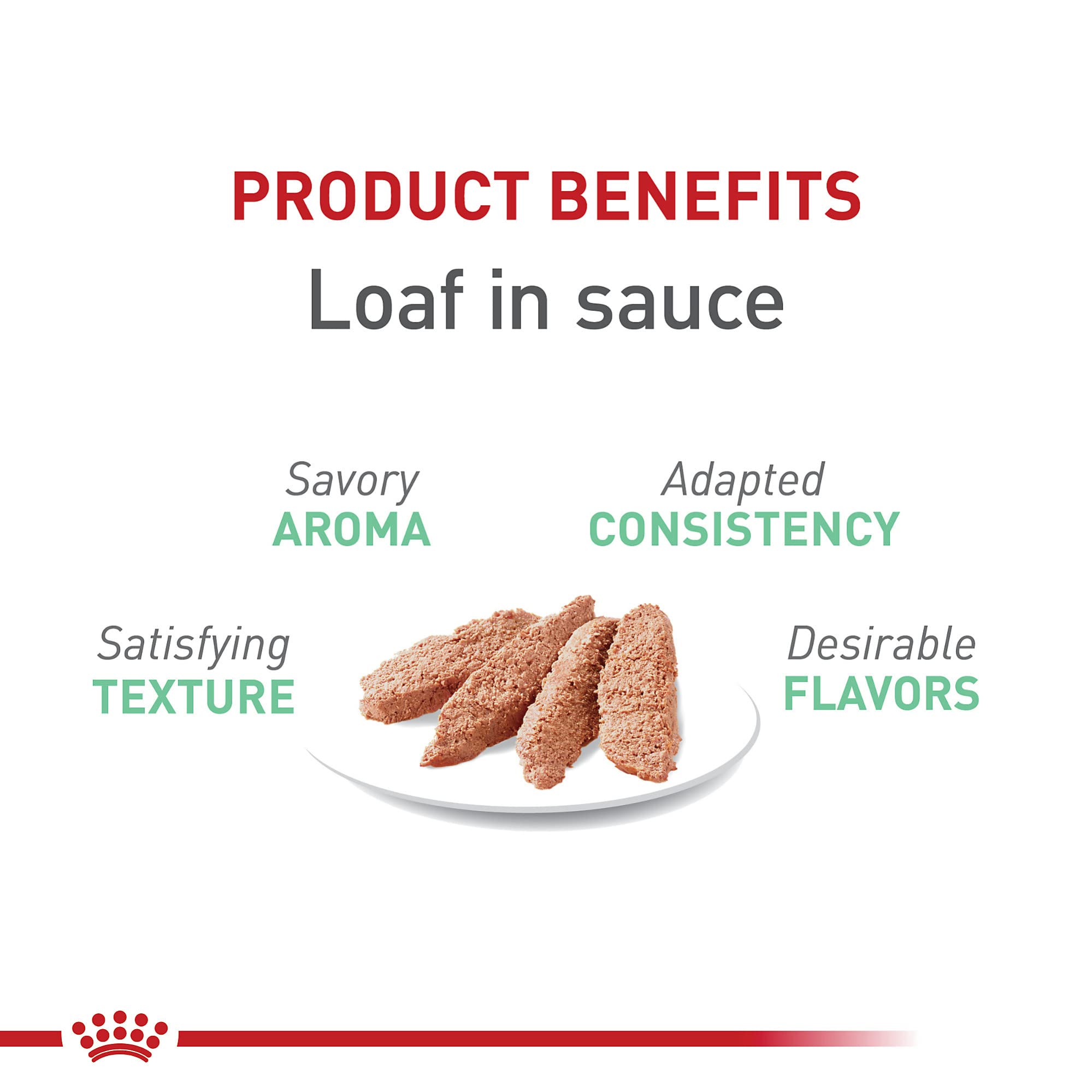 Royal Canin Cuidado Digestivo en salsa, presentación en tarrina de 3oz, beneficios digestivos.