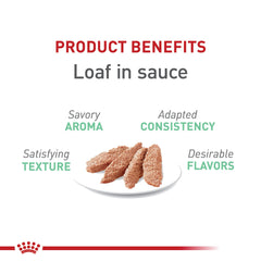 Royal Canin Cuidado Digestivo en salsa, presentación en tarrina de 3oz, beneficios digestivos.