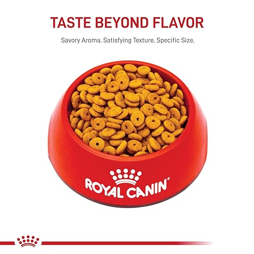 Royal Canin Cuidado Felino: fibra que ayuda a sentirse lleno entre comidas