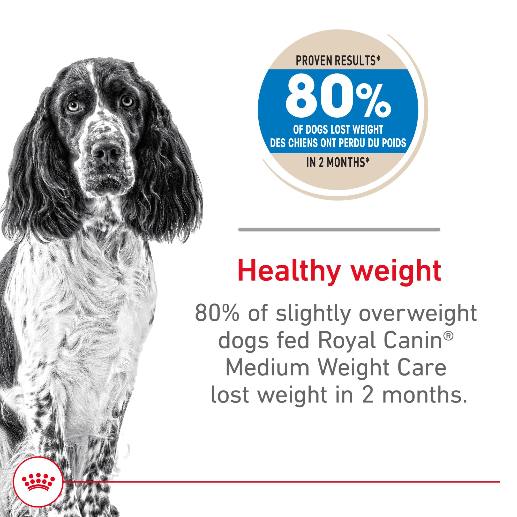 ROYAL CANIN Cuidado de Peso Medio, croquetas crujientes para saciedad