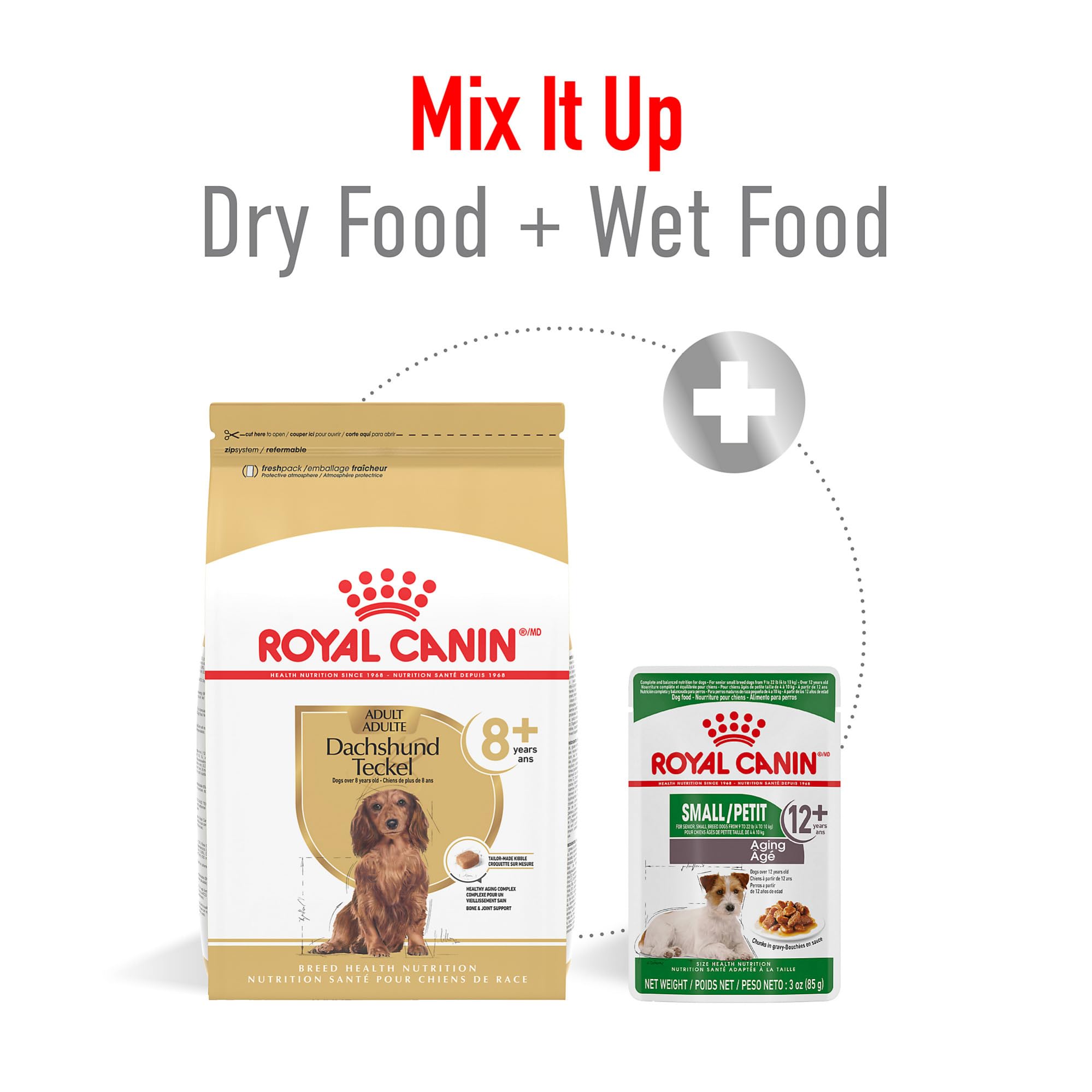 Royal Canin Dachshund 8+ sabor premium para mascotas mayores.