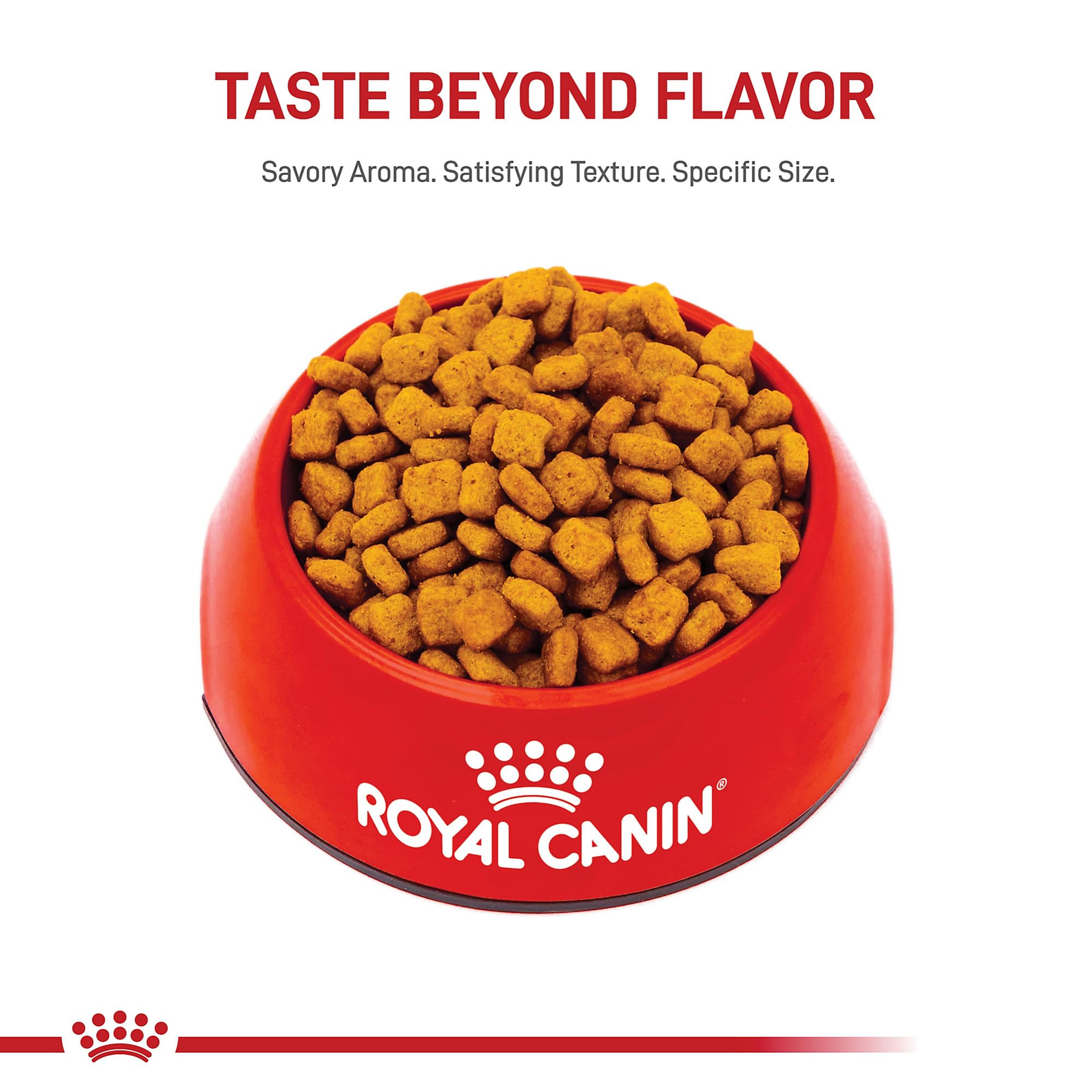 Royal Canin Dachshund Adult, digestibilidad alta para heces consistentes.
