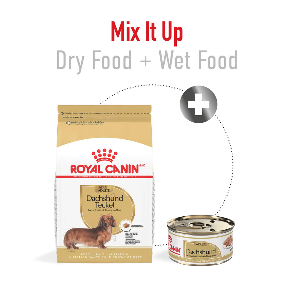 Royal Canin Dachshund Adult, fibra y proteína para digestión saludable.