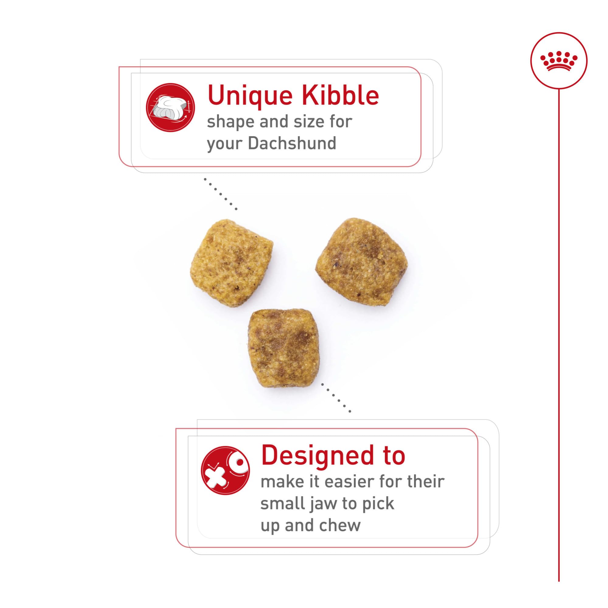 Royal Canin Dachshund Adult, croquetas de forma ergonómica para recoger fácilmente.