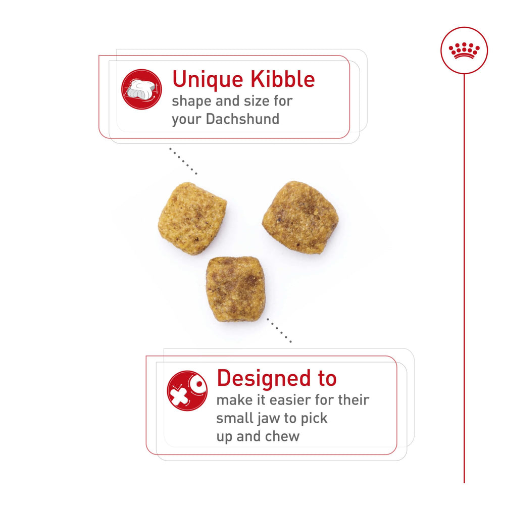 Royal Canin Dachshund Adult, croquetas de forma ergonómica para recoger fácilmente.