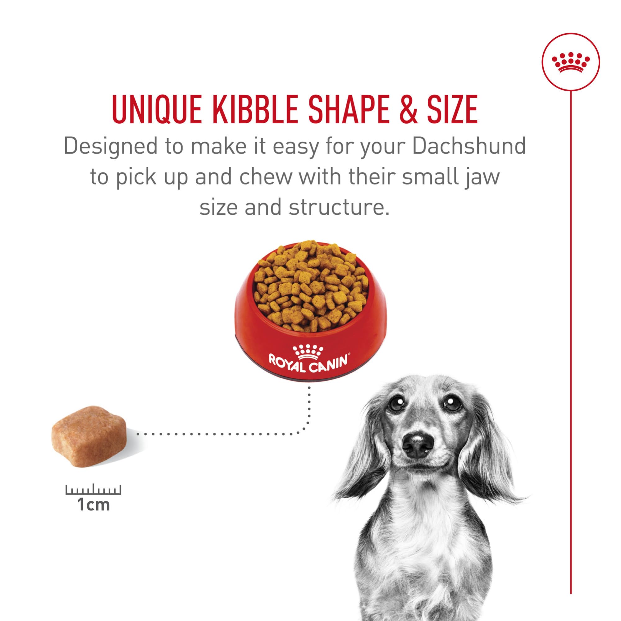 ROYAL CANIN Dachshund Adulto, digestión suave y heces más estables.