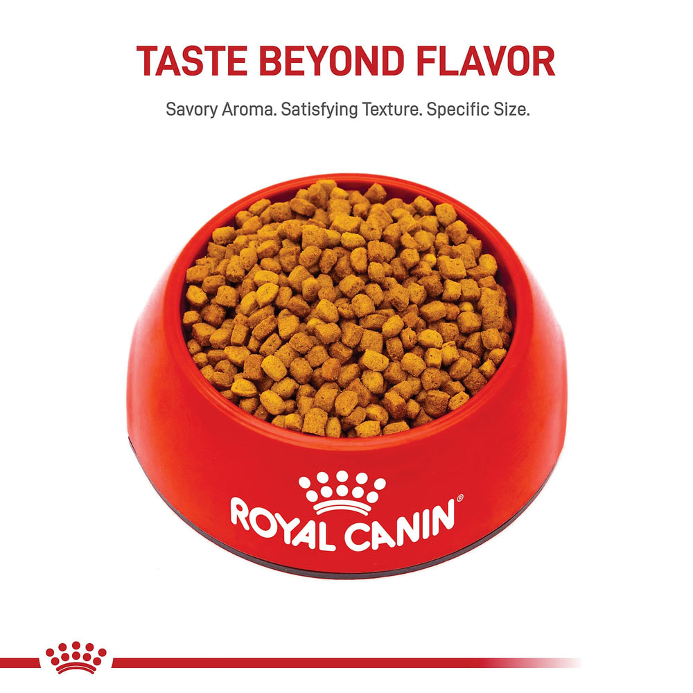Puede combinarse con comida húmeda Royal Canin para variar la textura