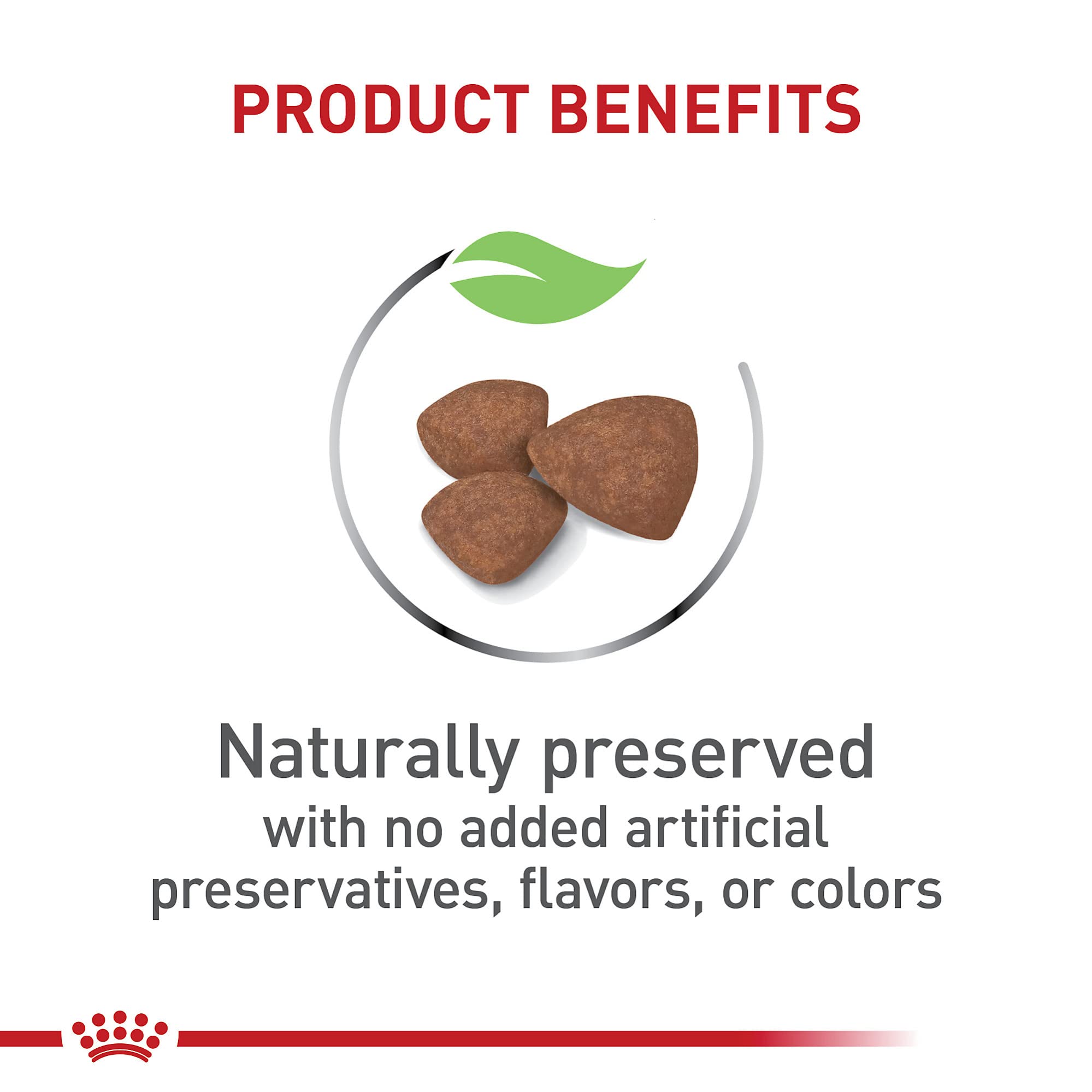 Royal Canin desarrollo cerebral con DHA y omega-3 para cachorros.